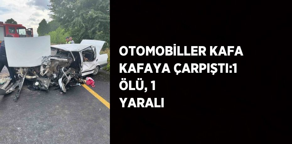 OTOMOBİLLER KAFA KAFAYA ÇARPIŞTI:1 ÖLÜ, 1 YARALI