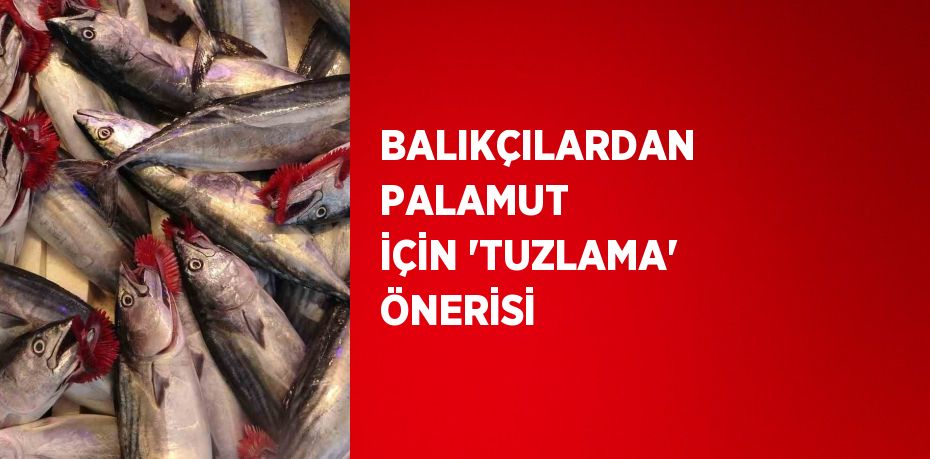 BALIKÇILARDAN PALAMUT İÇİN 'TUZLAMA' ÖNERİSİ