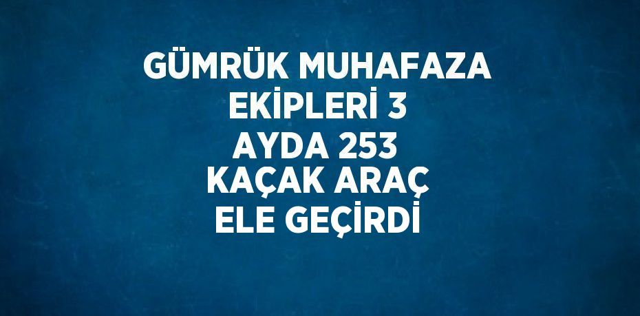 GÜMRÜK MUHAFAZA EKİPLERİ 3 AYDA 253 KAÇAK ARAÇ ELE GEÇİRDİ