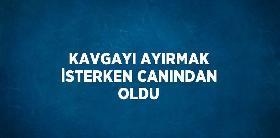 KAVGAYI AYIRMAK İSTERKEN CANINDAN OLDU