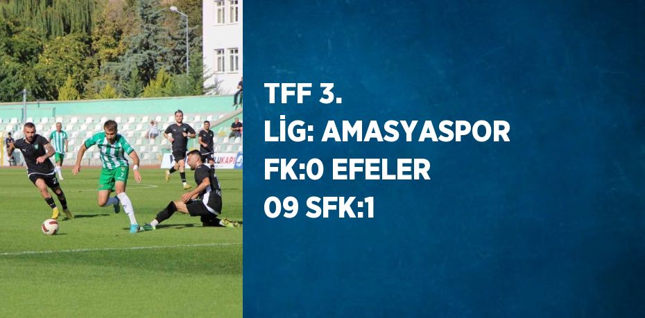 TFF 3. LİG: AMASYASPOR FK:0 EFELER 09 SFK:1