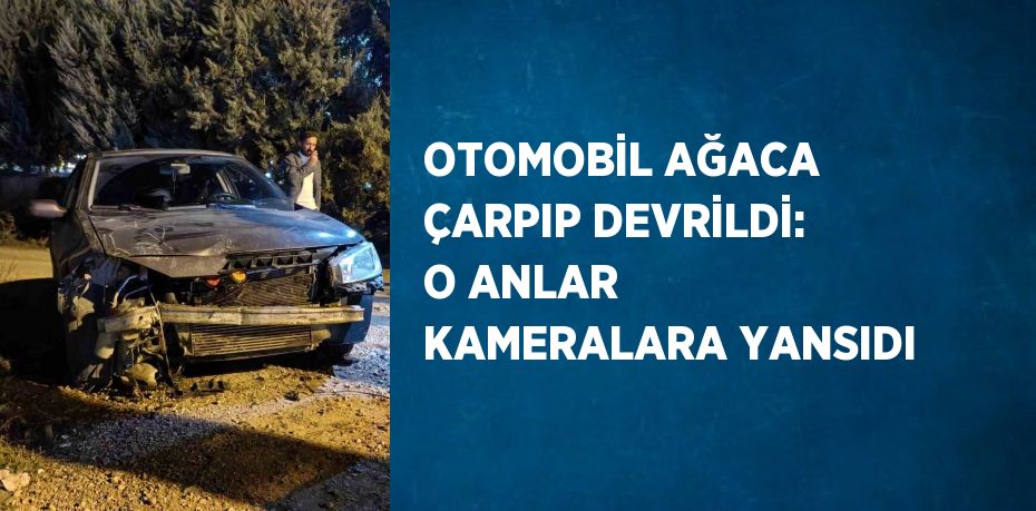 OTOMOBİL AĞACA ÇARPIP DEVRİLDİ: O ANLAR KAMERALARA YANSIDI