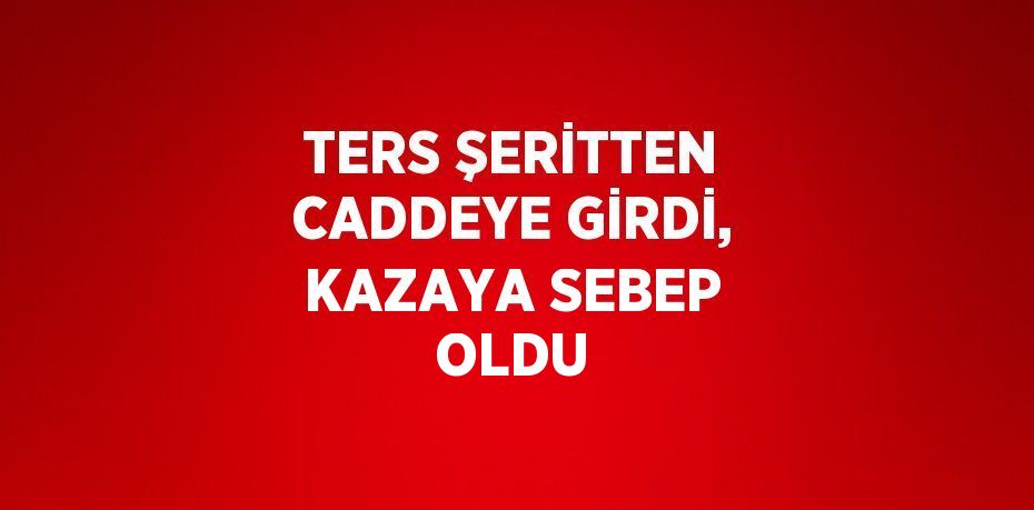 TERS ŞERİTTEN CADDEYE GİRDİ, KAZAYA SEBEP OLDU