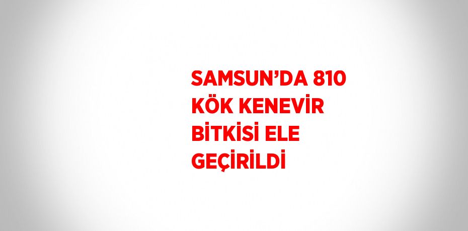 SAMSUN’DA 810 KÖK KENEVİR BİTKİSİ ELE GEÇİRİLDİ