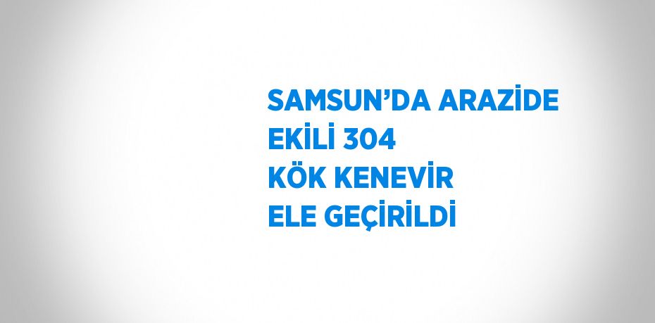 SAMSUN’DA ARAZİDE EKİLİ 304 KÖK KENEVİR ELE GEÇİRİLDİ