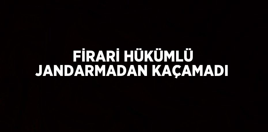 FİRARİ HÜKÜMLÜ JANDARMADAN KAÇAMADI