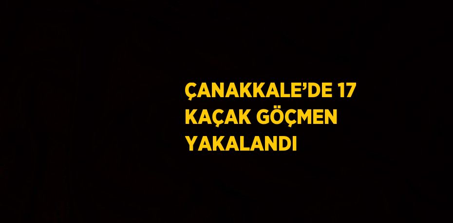 ÇANAKKALE’DE 17 KAÇAK GÖÇMEN YAKALANDI