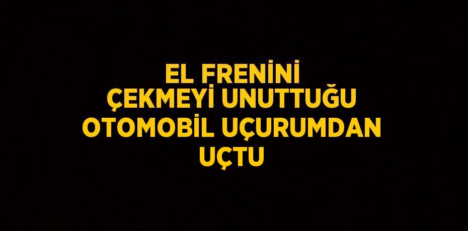 EL FRENİNİ ÇEKMEYİ UNUTTUĞU OTOMOBİL UÇURUMDAN UÇTU