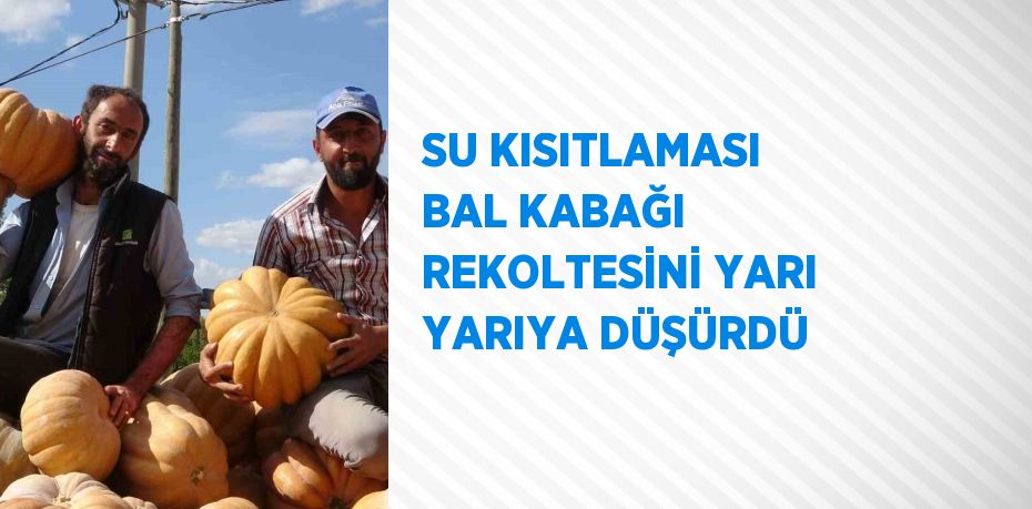 SU KISITLAMASI BAL KABAĞI REKOLTESİNİ YARI YARIYA DÜŞÜRDÜ