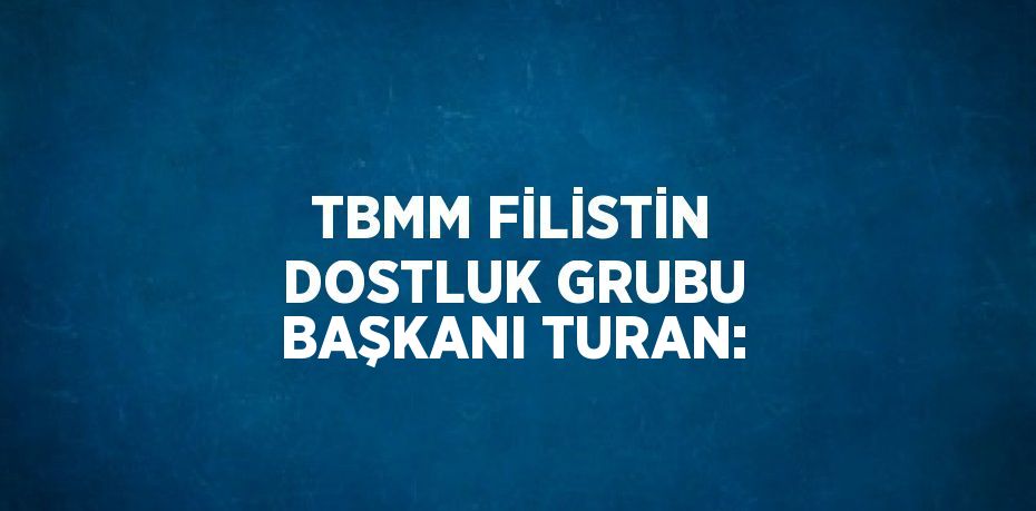 TBMM FİLİSTİN DOSTLUK GRUBU BAŞKANI TURAN: