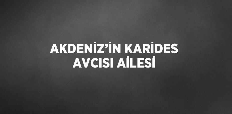 AKDENİZ’İN KARİDES AVCISI AİLESİ