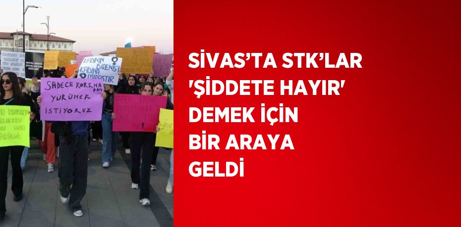 SİVAS’TA STK’LAR 'ŞİDDETE HAYIR' DEMEK İÇİN BİR ARAYA GELDİ