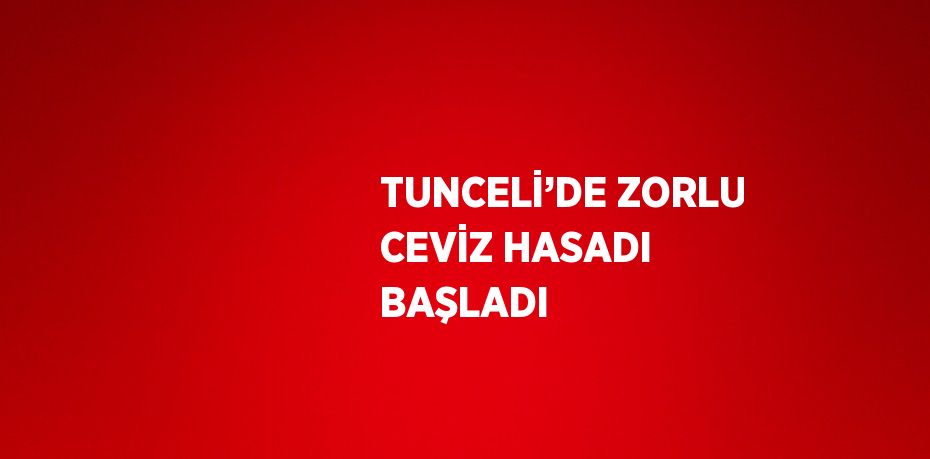 TUNCELİ’DE ZORLU CEVİZ HASADI BAŞLADI