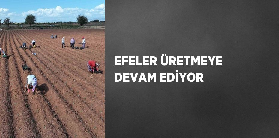 EFELER ÜRETMEYE DEVAM EDİYOR