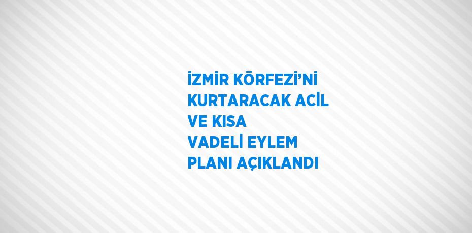 İZMİR KÖRFEZİ’Nİ KURTARACAK ACİL VE KISA VADELİ EYLEM PLANI AÇIKLANDI