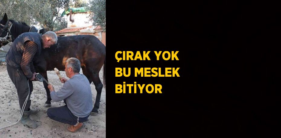 ÇIRAK YOK BU MESLEK BİTİYOR