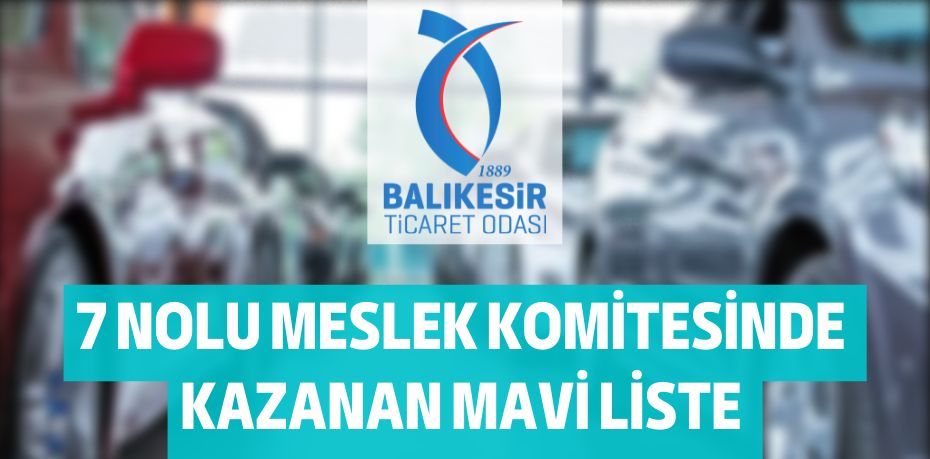7 NOLU MESLEK KOMİTESİNDE  KAZANAN MAVİ LİSTE