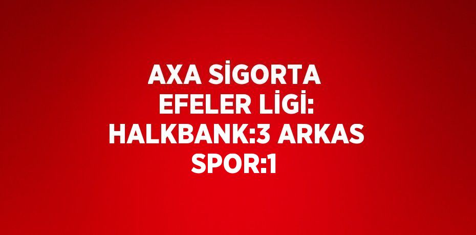 AXA SİGORTA EFELER LİGİ: HALKBANK:3 ARKAS SPOR:1