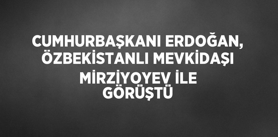 CUMHURBAŞKANI ERDOĞAN, ÖZBEKİSTANLI MEVKİDAŞI MİRZİYOYEV İLE GÖRÜŞTÜ