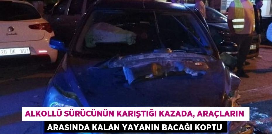 ALKOLLÜ SÜRÜCÜNÜN KARIŞTIĞI KAZADA, ARAÇLARIN ARASINDA KALAN YAYANIN BACAĞI KOPTU