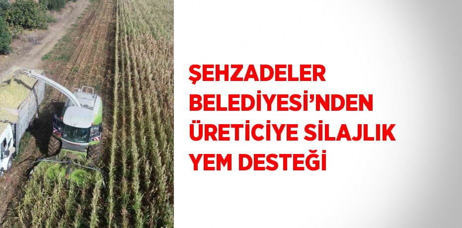 ŞEHZADELER BELEDİYESİ’NDEN ÜRETİCİYE SİLAJLIK YEM DESTEĞİ