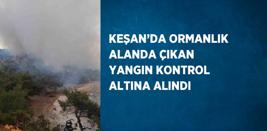 KEŞAN’DA ORMANLIK ALANDA ÇIKAN YANGIN KONTROL ALTINA ALINDI