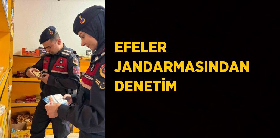 EFELER JANDARMASINDAN DENETİM