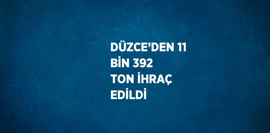 DÜZCE’DEN 11 BİN 392 TON İHRAÇ EDİLDİ