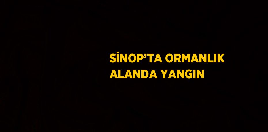 SİNOP’TA ORMANLIK ALANDA YANGIN