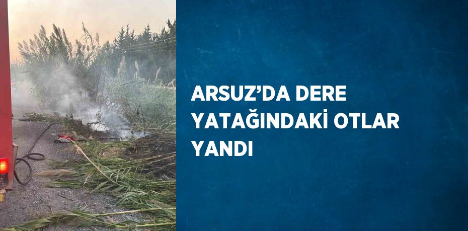 ARSUZ’DA DERE YATAĞINDAKİ OTLAR YANDI