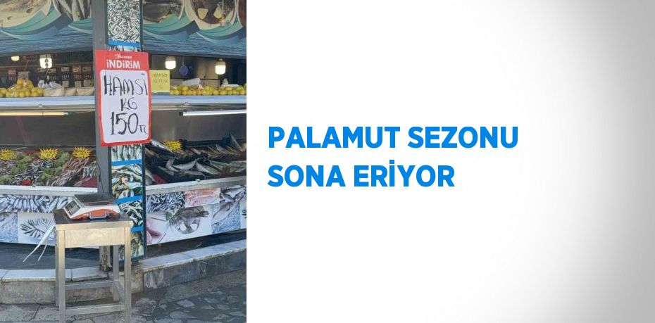 PALAMUT SEZONU SONA ERİYOR