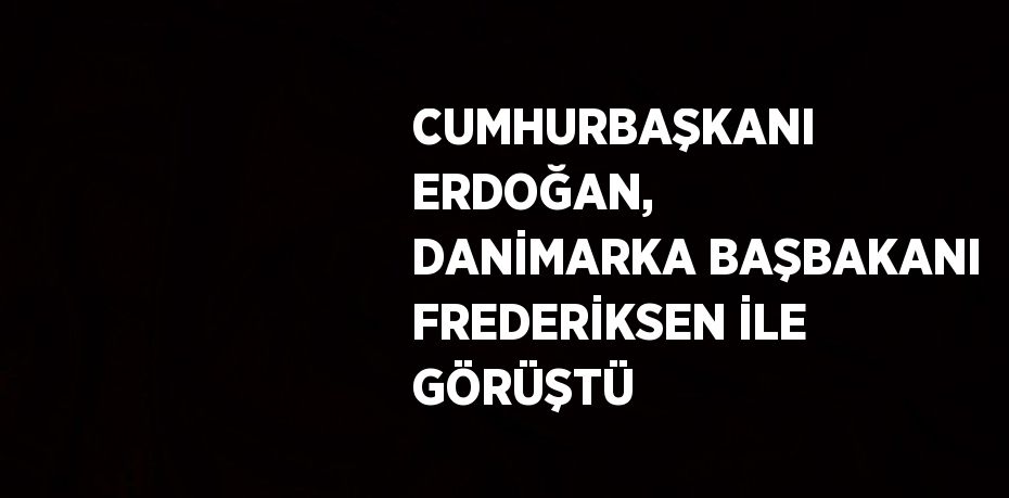 CUMHURBAŞKANI ERDOĞAN, DANİMARKA BAŞBAKANI FREDERİKSEN İLE GÖRÜŞTÜ