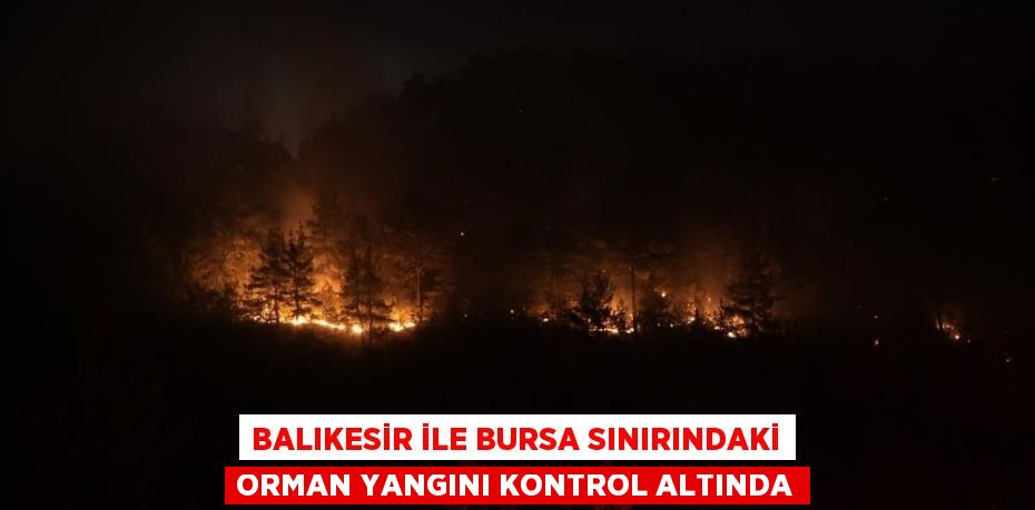 BALIKESİR İLE BURSA SINIRINDAKİ ORMAN YANGINI KONTROL ALTINDA