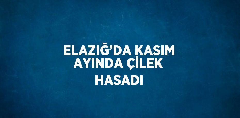 ELAZIĞ’DA KASIM AYINDA ÇİLEK HASADI