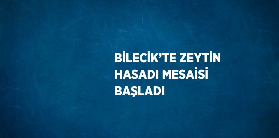 BİLECİK’TE ZEYTİN HASADI MESAİSİ BAŞLADI