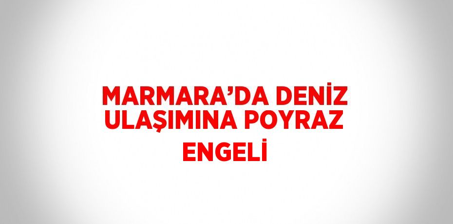 MARMARA’DA DENİZ ULAŞIMINA POYRAZ ENGELİ