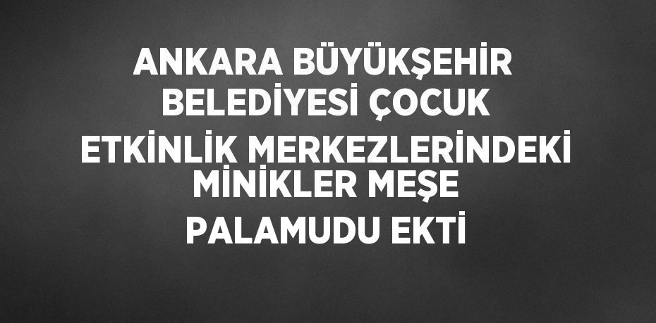 ANKARA BÜYÜKŞEHİR BELEDİYESİ ÇOCUK ETKİNLİK MERKEZLERİNDEKİ MİNİKLER MEŞE PALAMUDU EKTİ