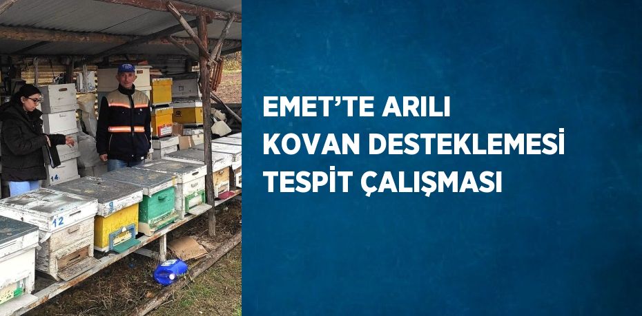 EMET’TE ARILI KOVAN DESTEKLEMESİ TESPİT ÇALIŞMASI