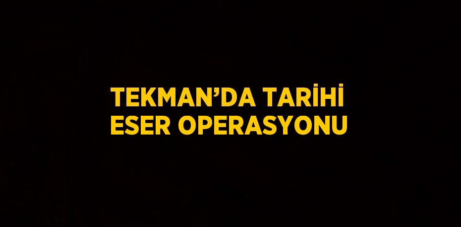 TEKMAN’DA TARİHİ ESER OPERASYONU