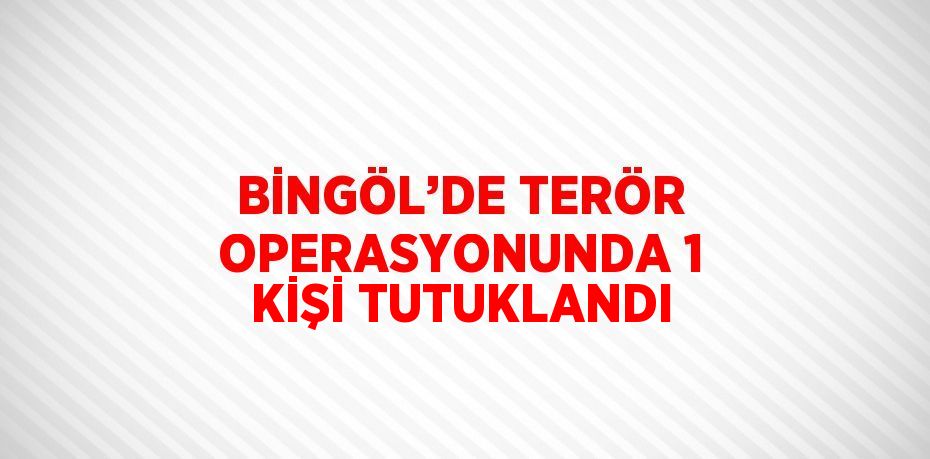 BİNGÖL’DE TERÖR OPERASYONUNDA 1 KİŞİ TUTUKLANDI