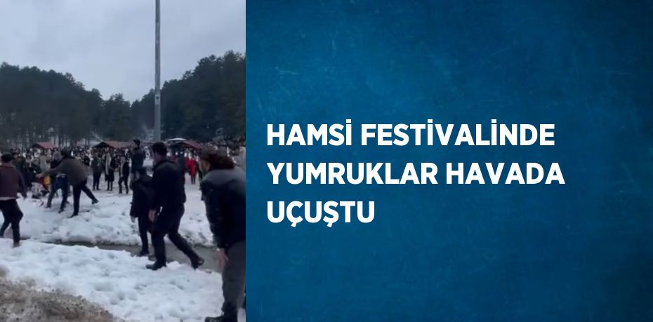 HAMSİ FESTİVALİNDE YUMRUKLAR HAVADA UÇUŞTU