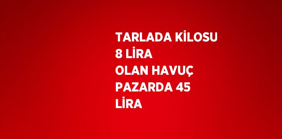 TARLADA KİLOSU 8 LİRA OLAN HAVUÇ PAZARDA 45 LİRA