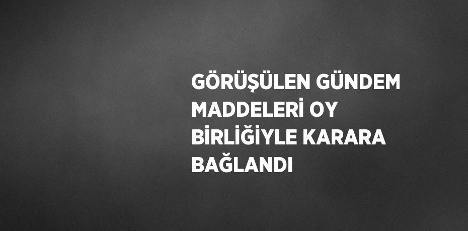 GÖRÜŞÜLEN GÜNDEM MADDELERİ OY BİRLİĞİYLE KARARA BAĞLANDI