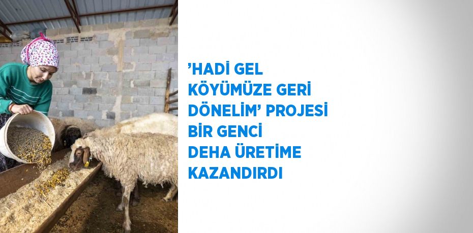 ’HADİ GEL KÖYÜMÜZE GERİ DÖNELİM’ PROJESİ BİR GENCİ DEHA ÜRETİME KAZANDIRDI