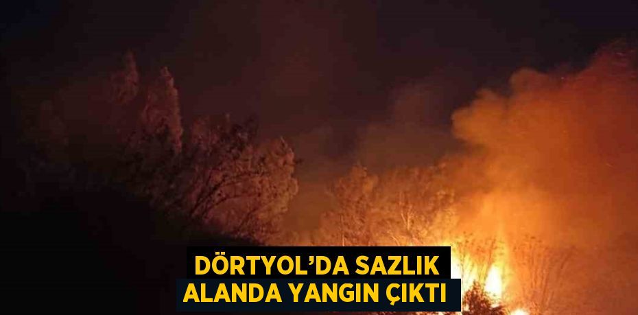 DÖRTYOL’DA SAZLIK ALANDA YANGIN ÇIKTI