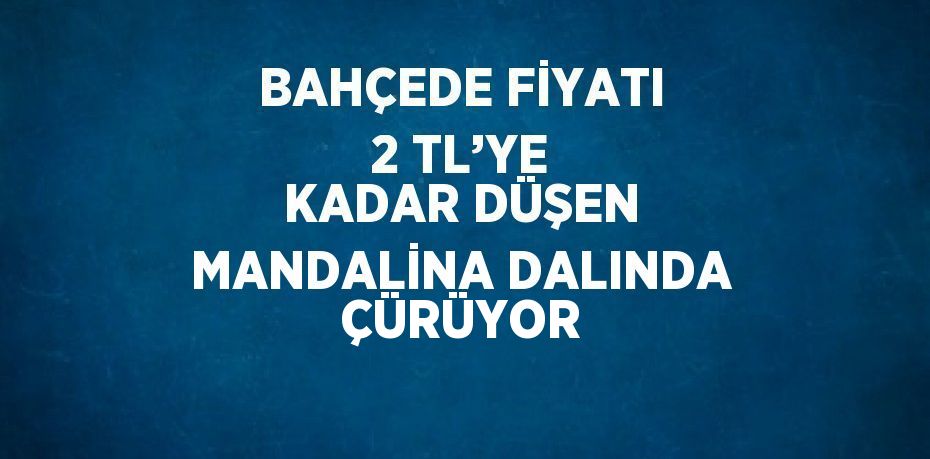 BAHÇEDE FİYATI 2 TL’YE KADAR DÜŞEN MANDALİNA DALINDA ÇÜRÜYOR