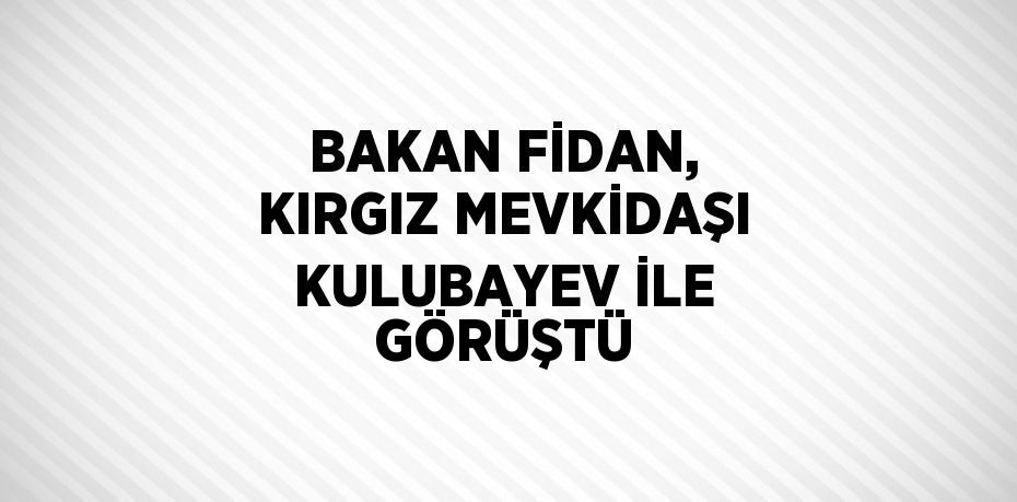 BAKAN FİDAN, KIRGIZ MEVKİDAŞI KULUBAYEV İLE GÖRÜŞTÜ