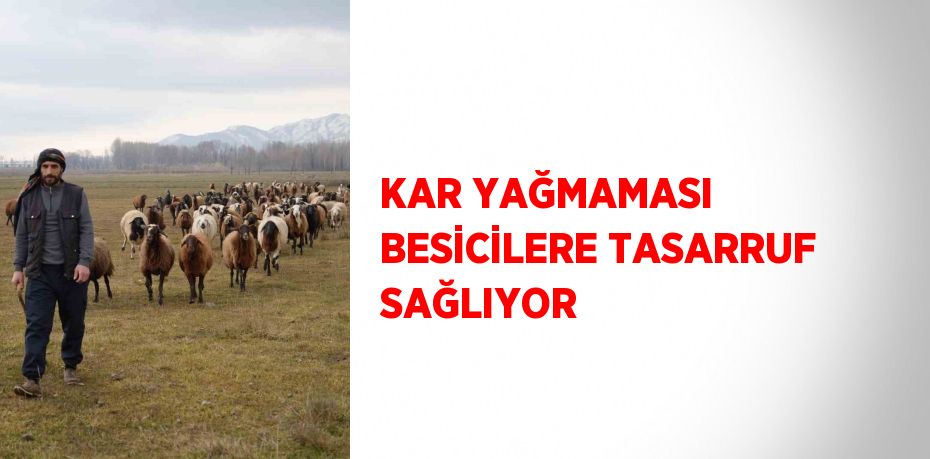 KAR YAĞMAMASI BESİCİLERE TASARRUF SAĞLIYOR