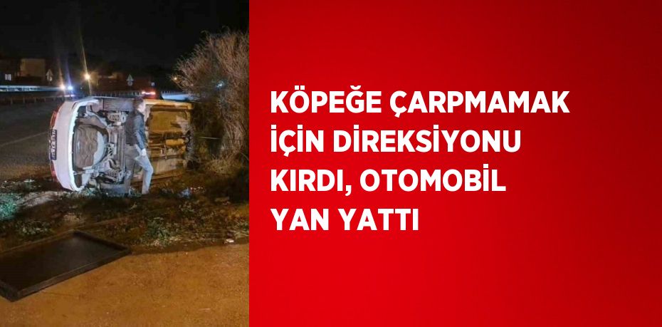 KÖPEĞE ÇARPMAMAK İÇİN DİREKSİYONU KIRDI, OTOMOBİL YAN YATTI