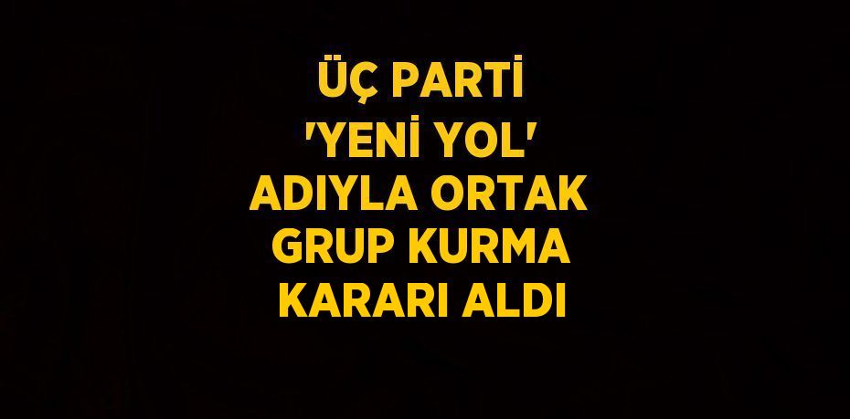 ÜÇ PARTİ 'YENİ YOL' ADIYLA ORTAK GRUP KURMA KARARI ALDI